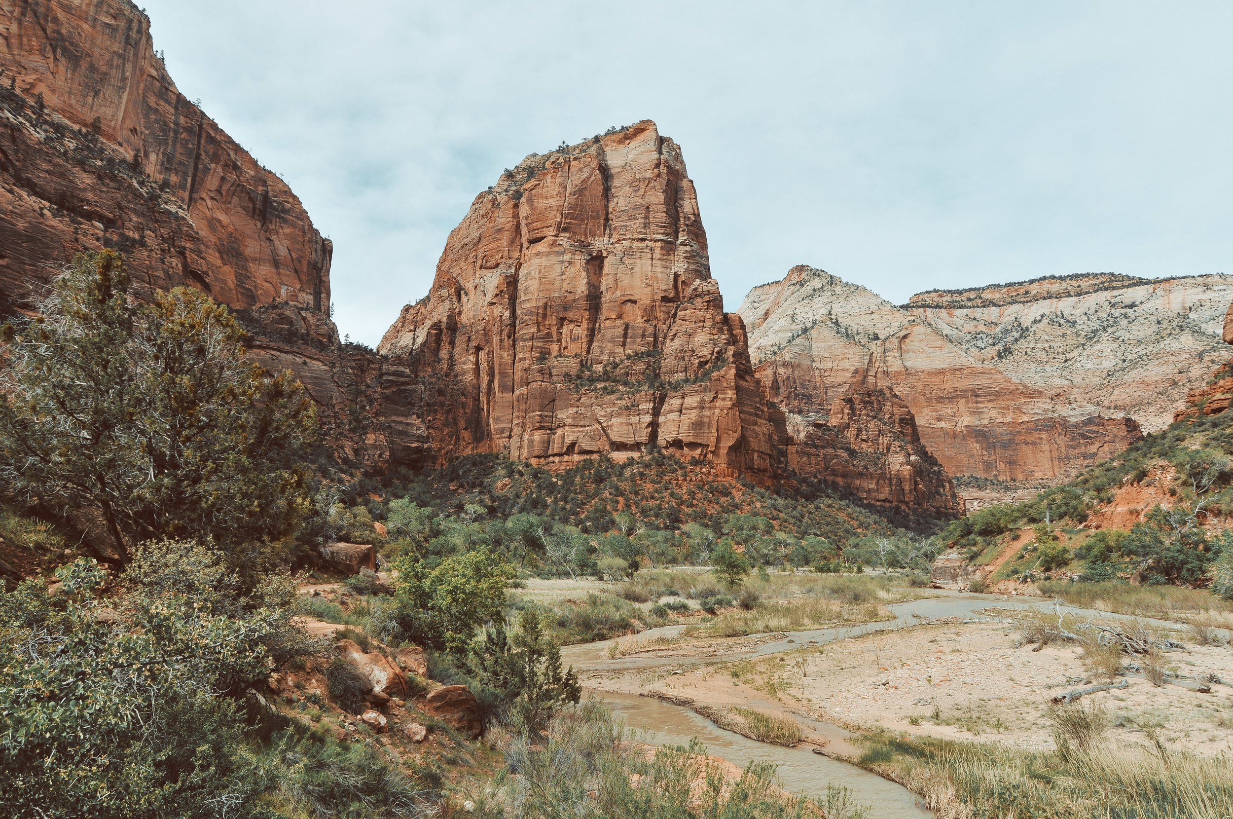 zion-6.jpg