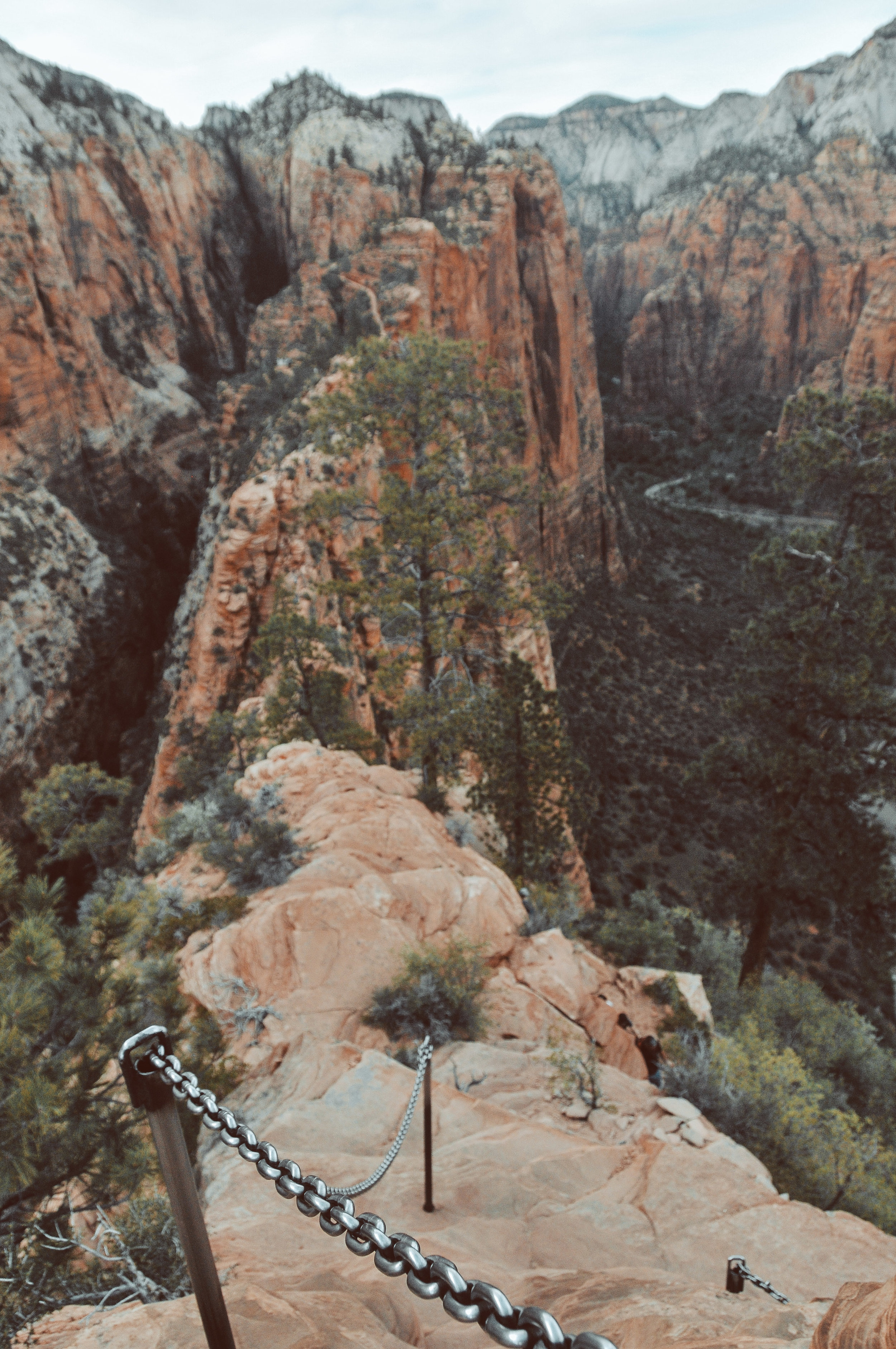 zion-33.jpg