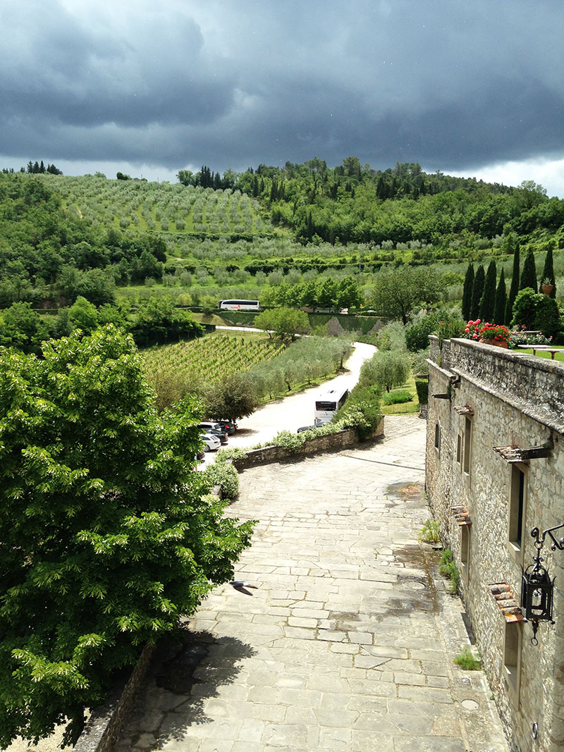 vineyard-tuscany-italy.jpg