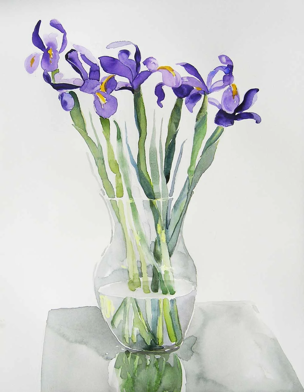 Iris on white: Watercolor on Arches 140# hp, 12 x 16 in / 31 x 41 cm