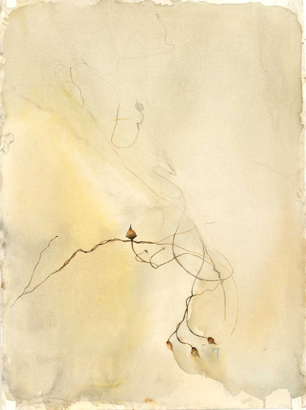 Weeds for Alice: Watercolor on Arches 300# hp, 22 x 30 in / 56 x 76 cm