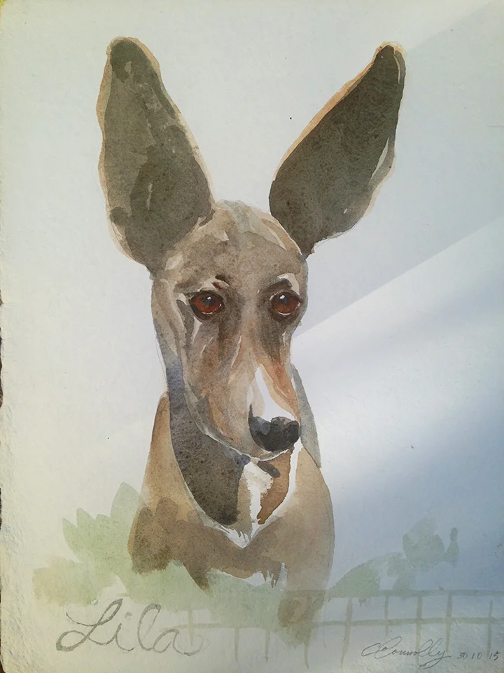 Lila: watercolor, handmade paper cp, 10 x 13 in / 26 x 33 cm
