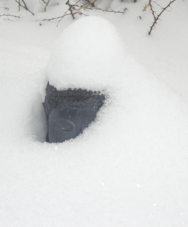But now i'm back in Minnesota. And here we are...April 15th, blizzard making history. 