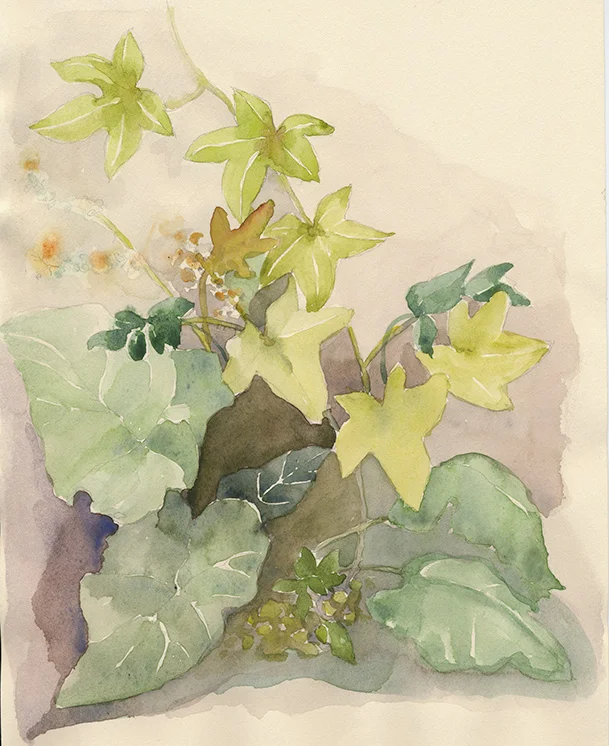 coco-connolly-everwood-farmstead-flora-watercolor.jpg