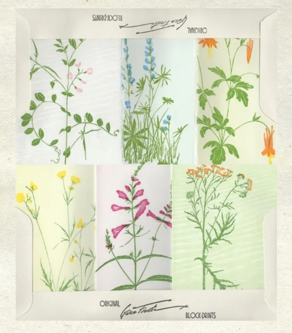 Little portfolio of 6 cards. See more of Gwen's work on the studio site.