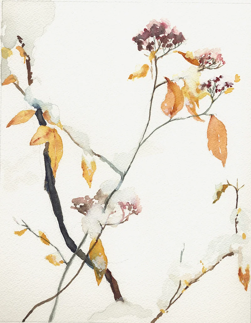 coco-connolly-yellow-leaves-snow-watercolor-sketch.jpg