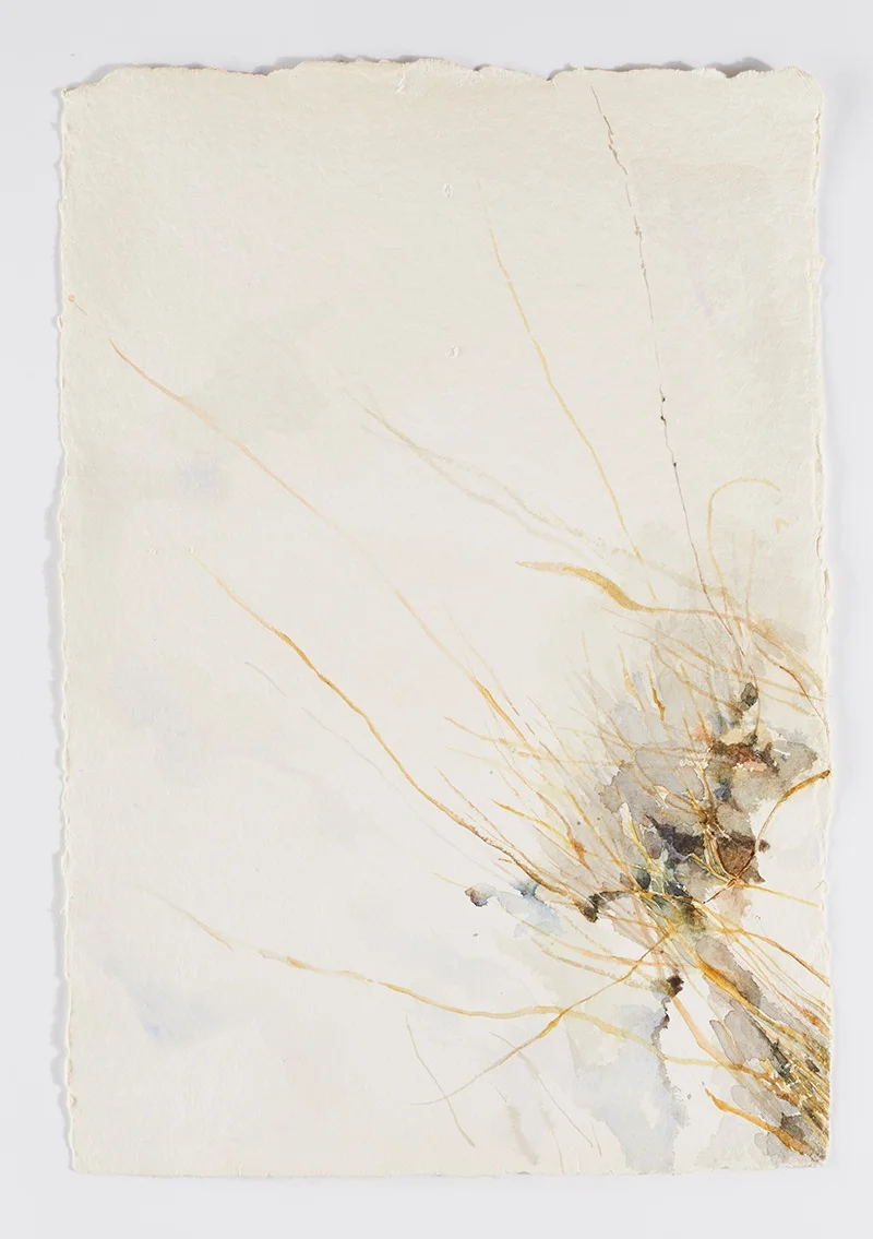 Weeds in snow 1: Watercolor on handmade paper, 12 x 18 in / 31 x 46 cm