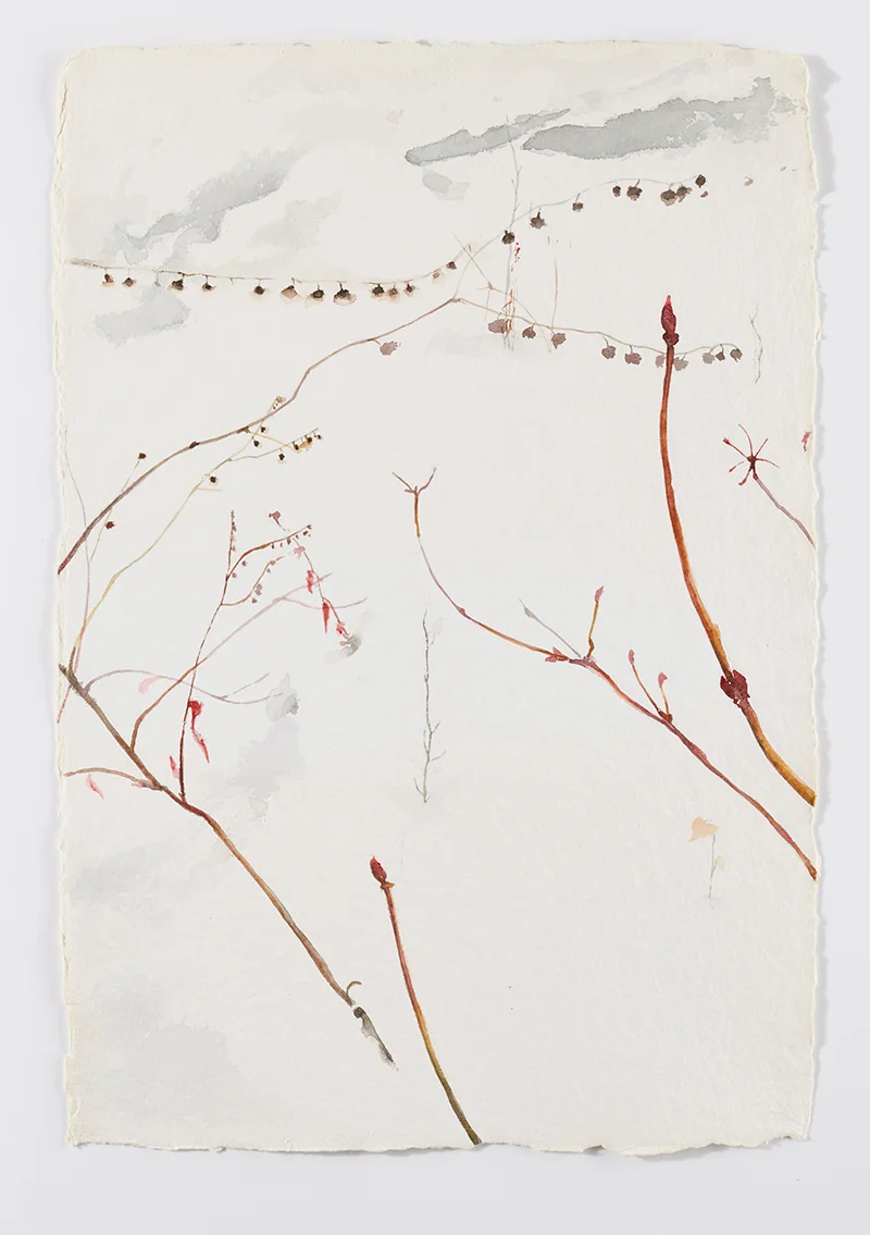 Weeds in snow 2: Watercolor on handmade paper, 12 x 18 in / 31 x 46 cm