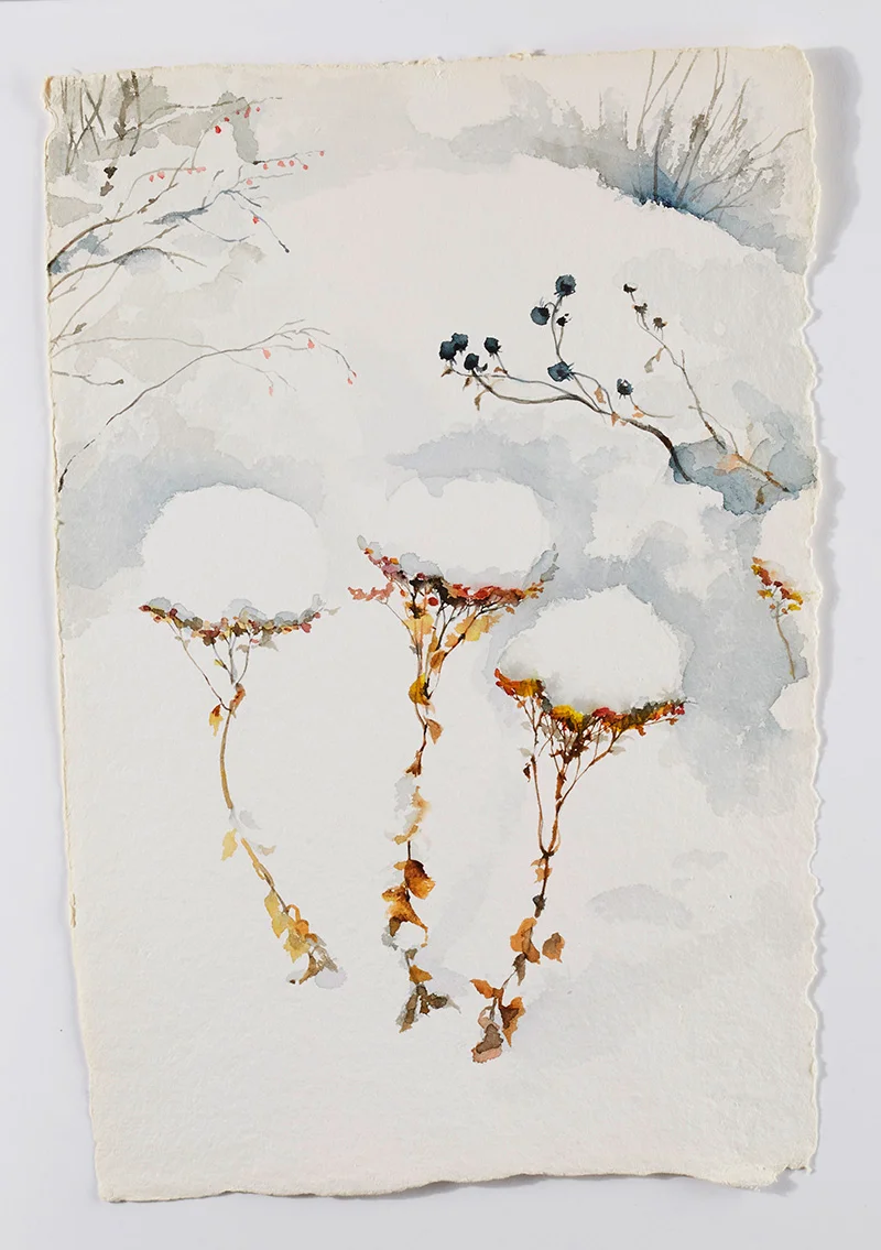 Weeds in snow 4: Watercolor on handmade paper, 12 x 18 in / 31 x 46 cm