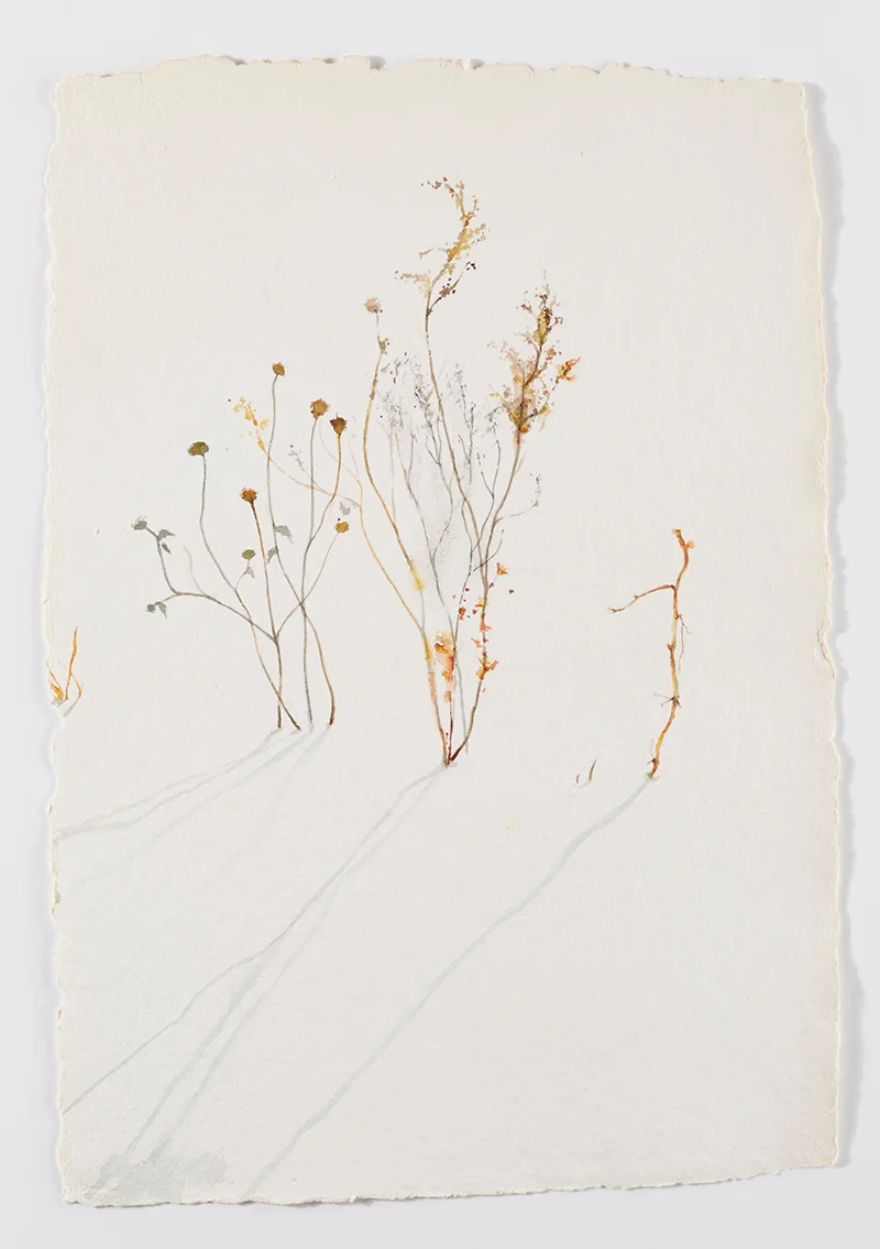 Weeds in snow 5: Watercolor on handmade paper, 12 x 18 in / 31 x 46 cm