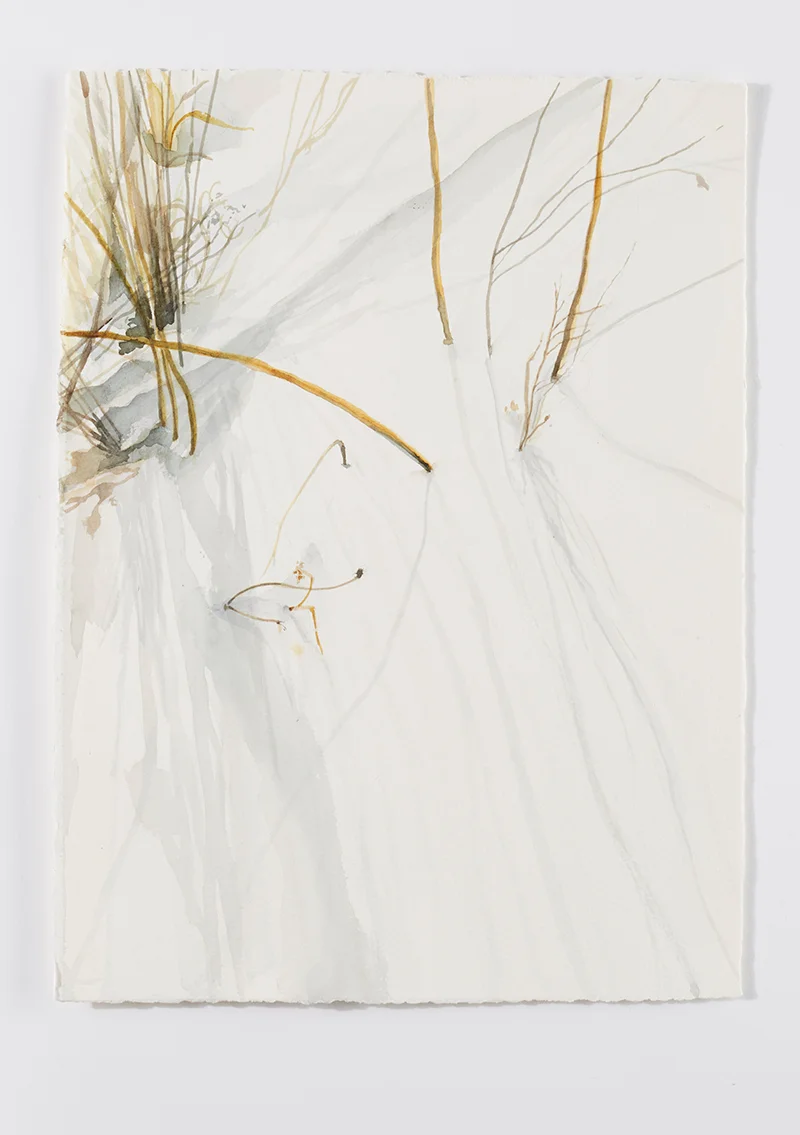 Weeds in snow 7: Watercolor on Saunders 140# cp paper, 12 x 16 in / 31 x 41 cm