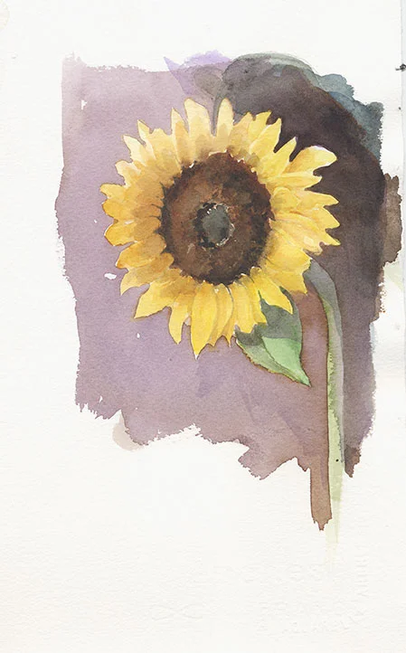 coco-connolly-one-sunflower-watercolor-sketch.jpg