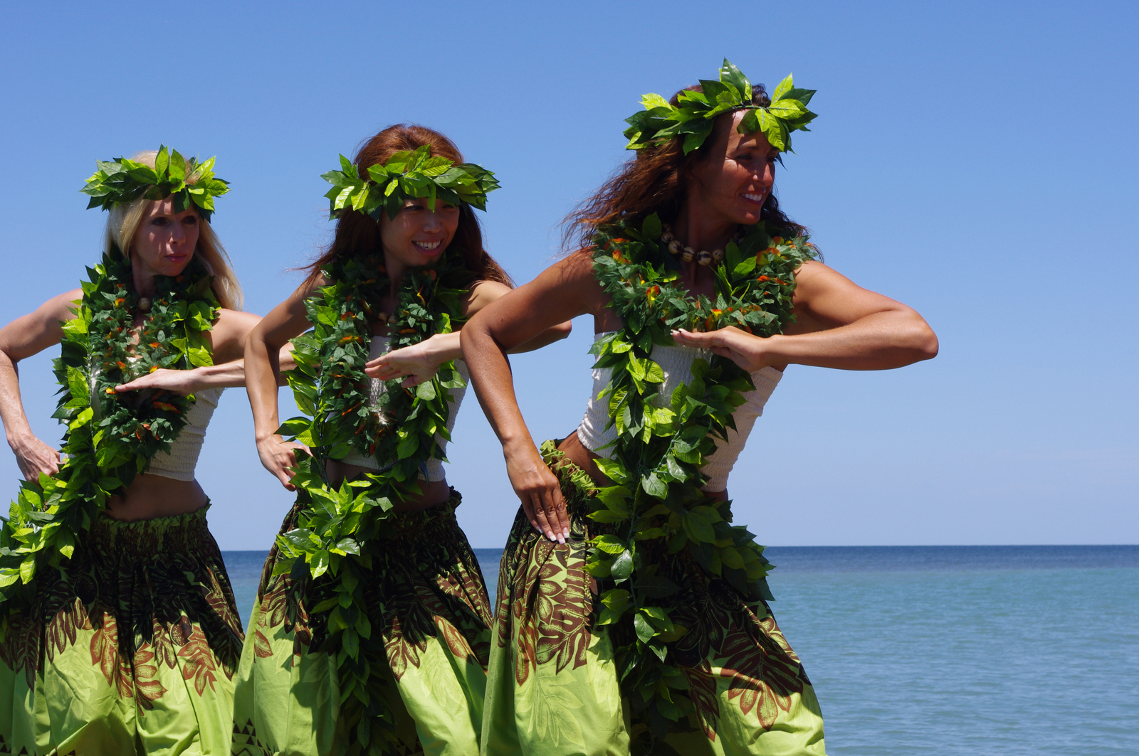 hula 150 - Copy (2).jpg