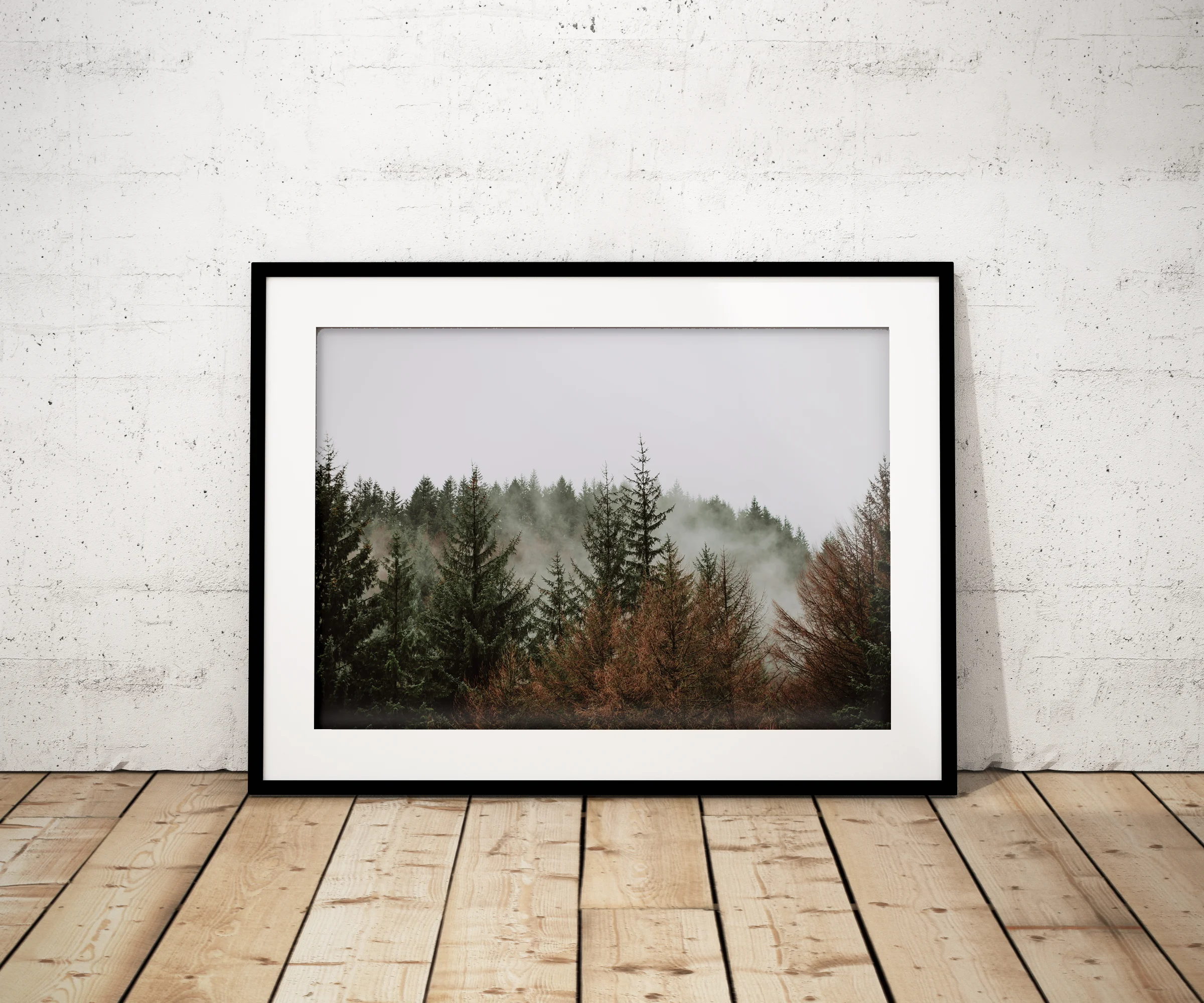 Autumn Mist Mock Up.jpg