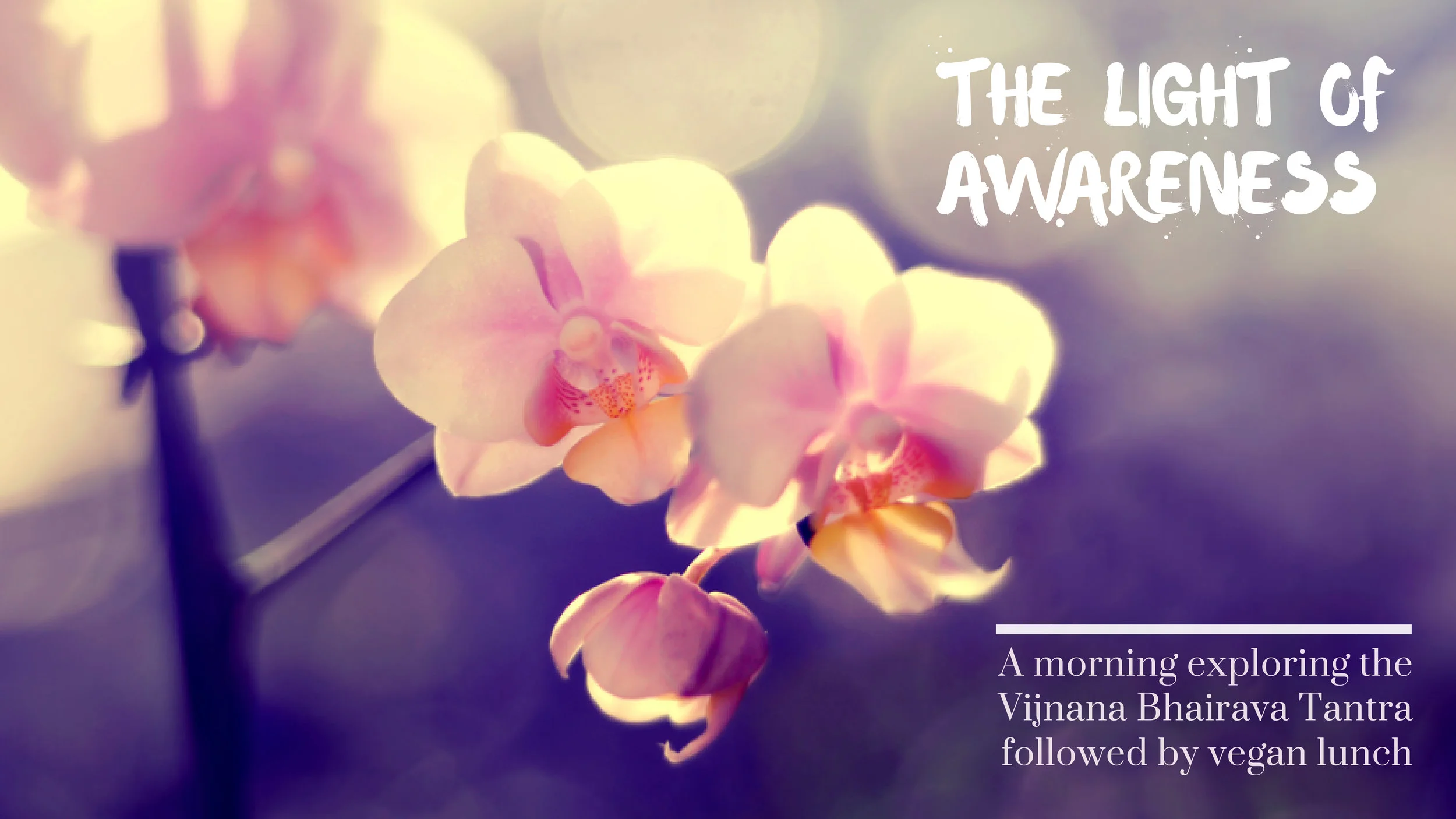 The Light Of Awareness.jpg