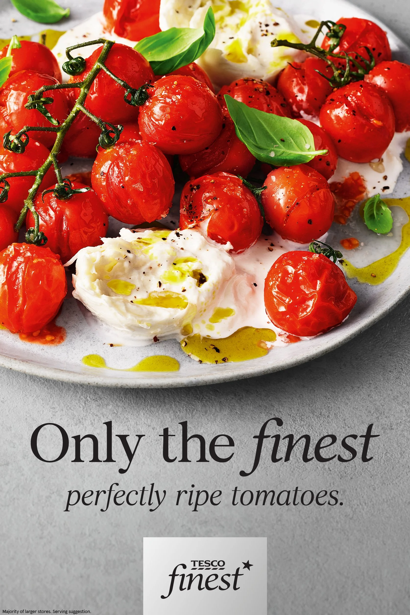 441420_Finest_6Sht_Tomatoes.jpg