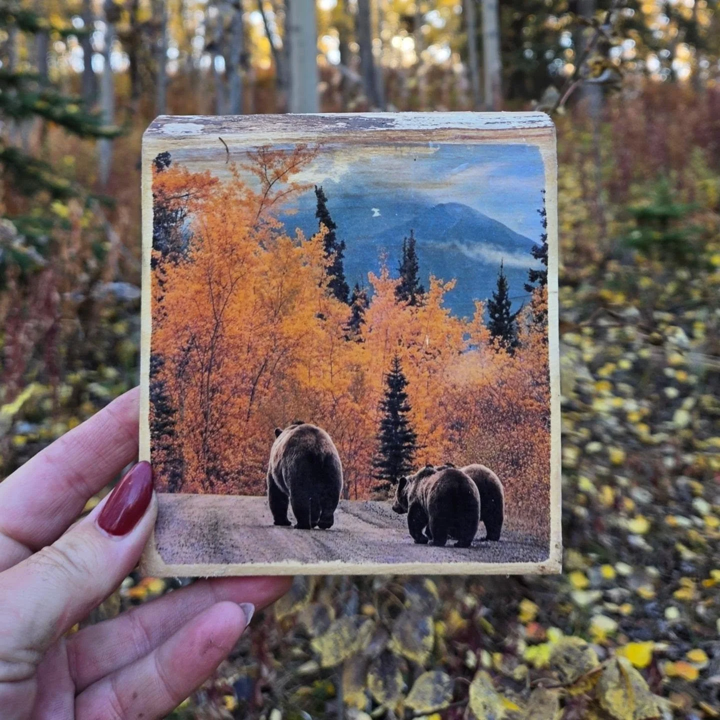 825326068_18459352396142307_8134420452872989539_n.jpg