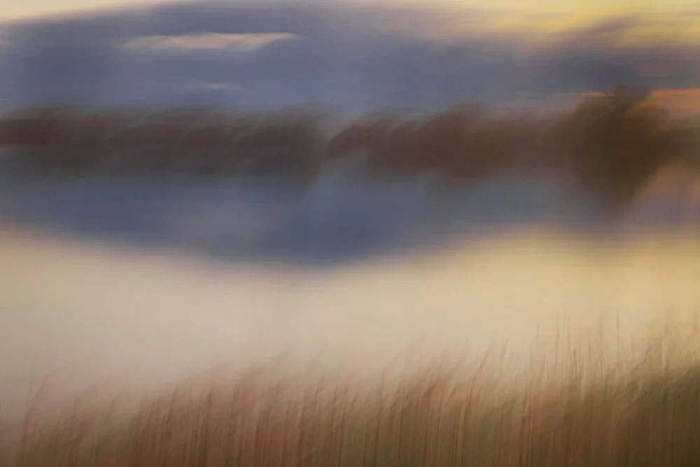 A Lark Learning to Pray