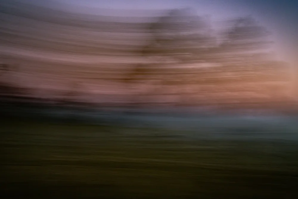 I Dreamed I Danced With A Tree