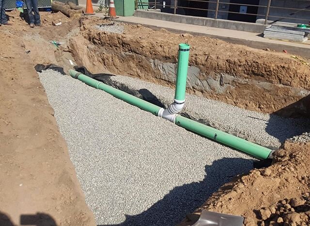 Drainage at Occidental College #siapinhorticulture #horticulture #landscape #landscapecompanies #occidentalcollege