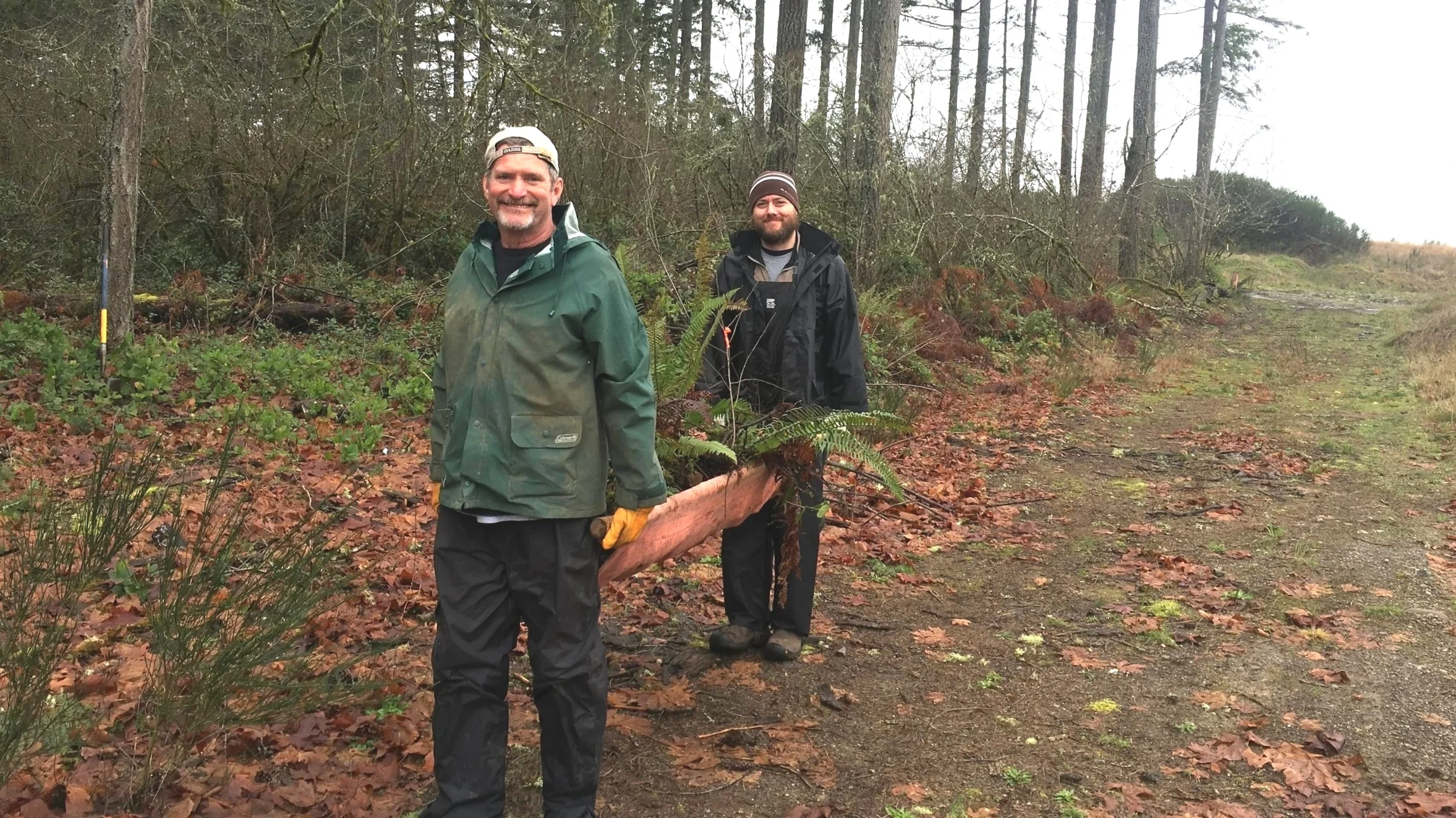 Volunteers salvaging sword fern.