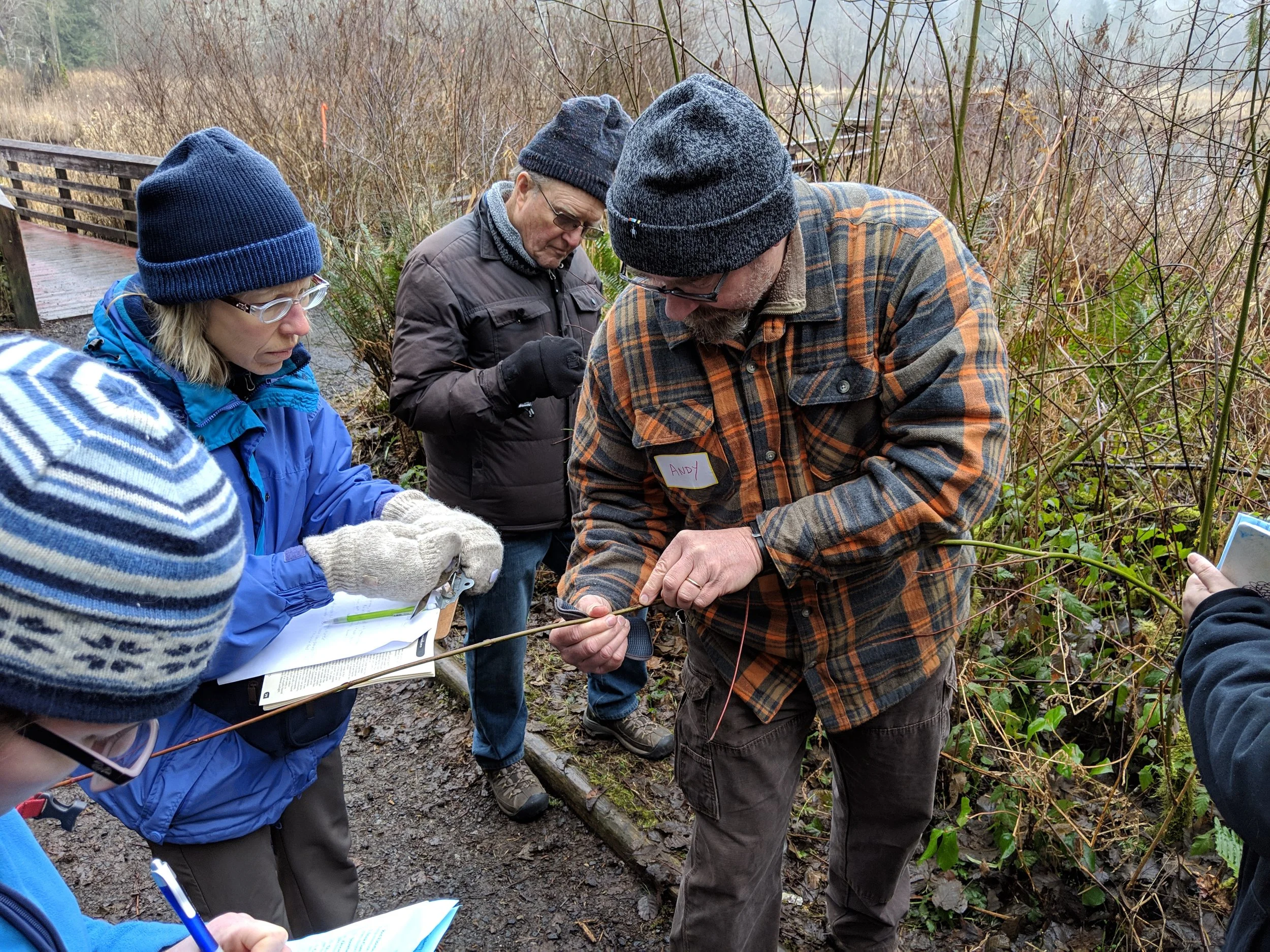 Winter Twig Identification Field Course