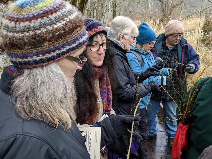 Winter Twig Identification Field Course