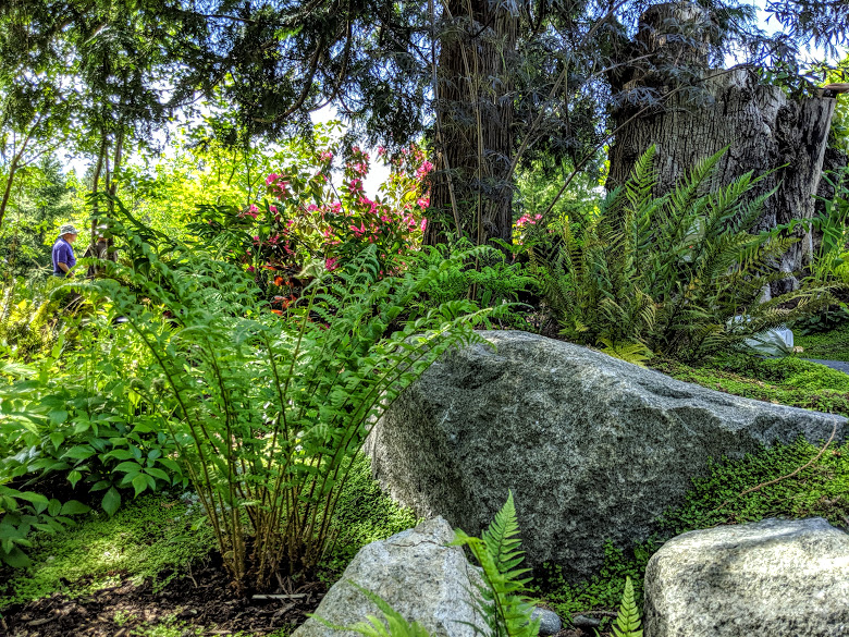 MVIMG_20190509_153355.jpg
