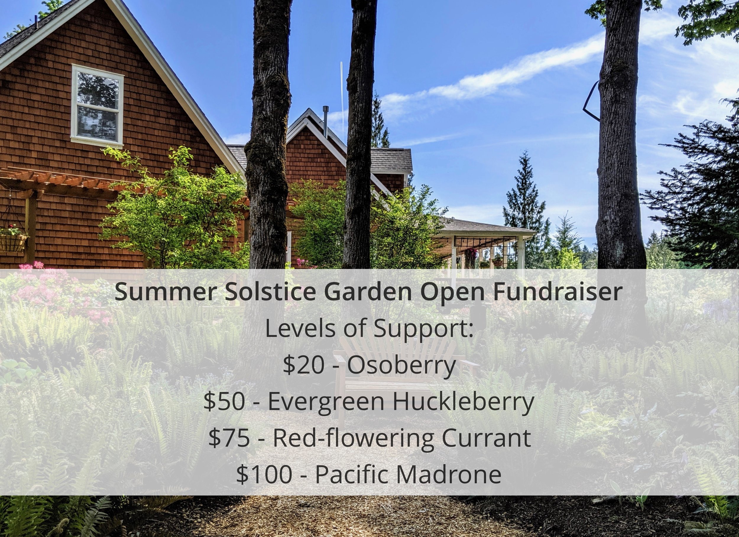 Summer solstice garden open levels of support.jpeg