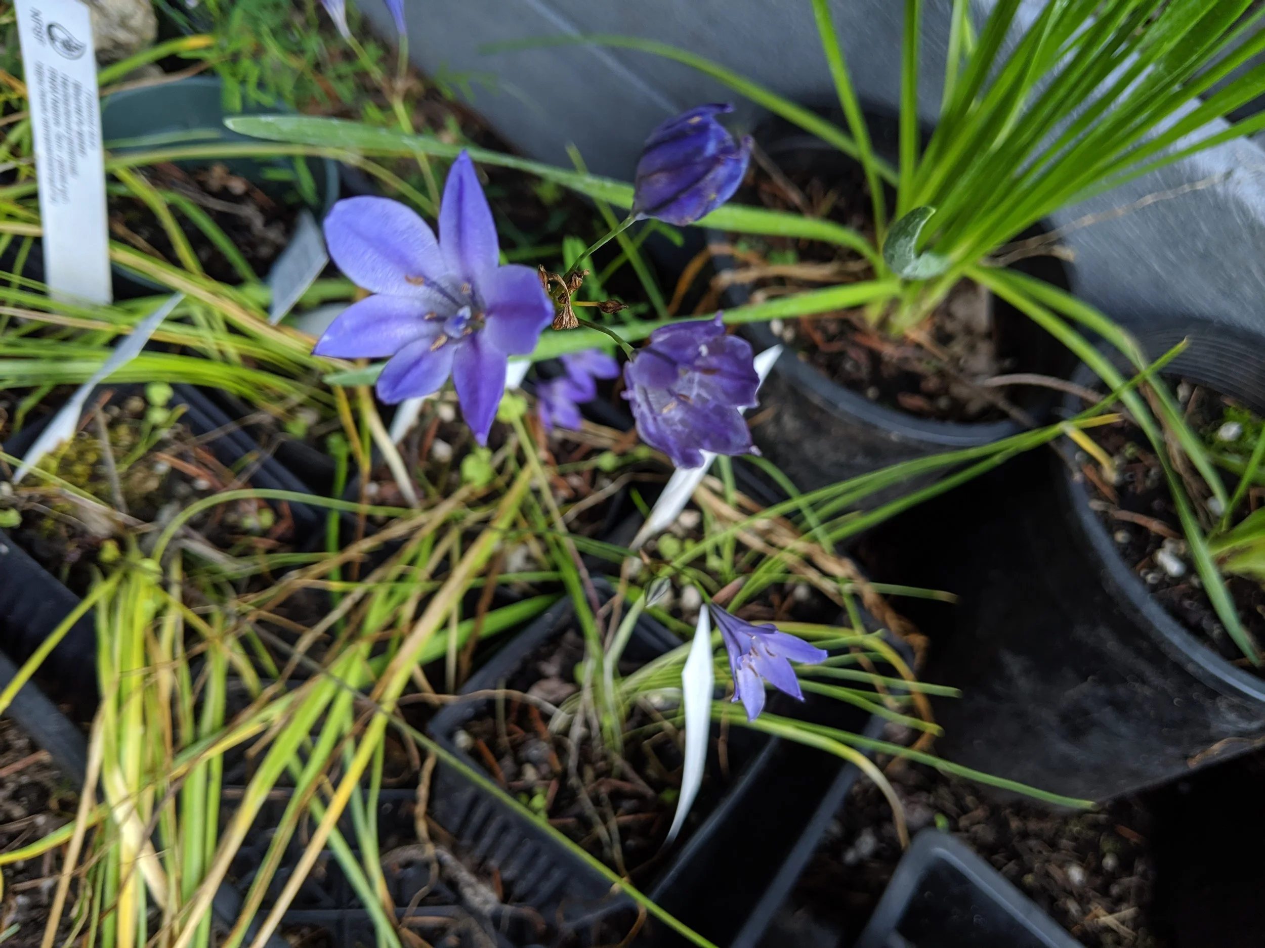 MVIMG_20190708_153748.jpg