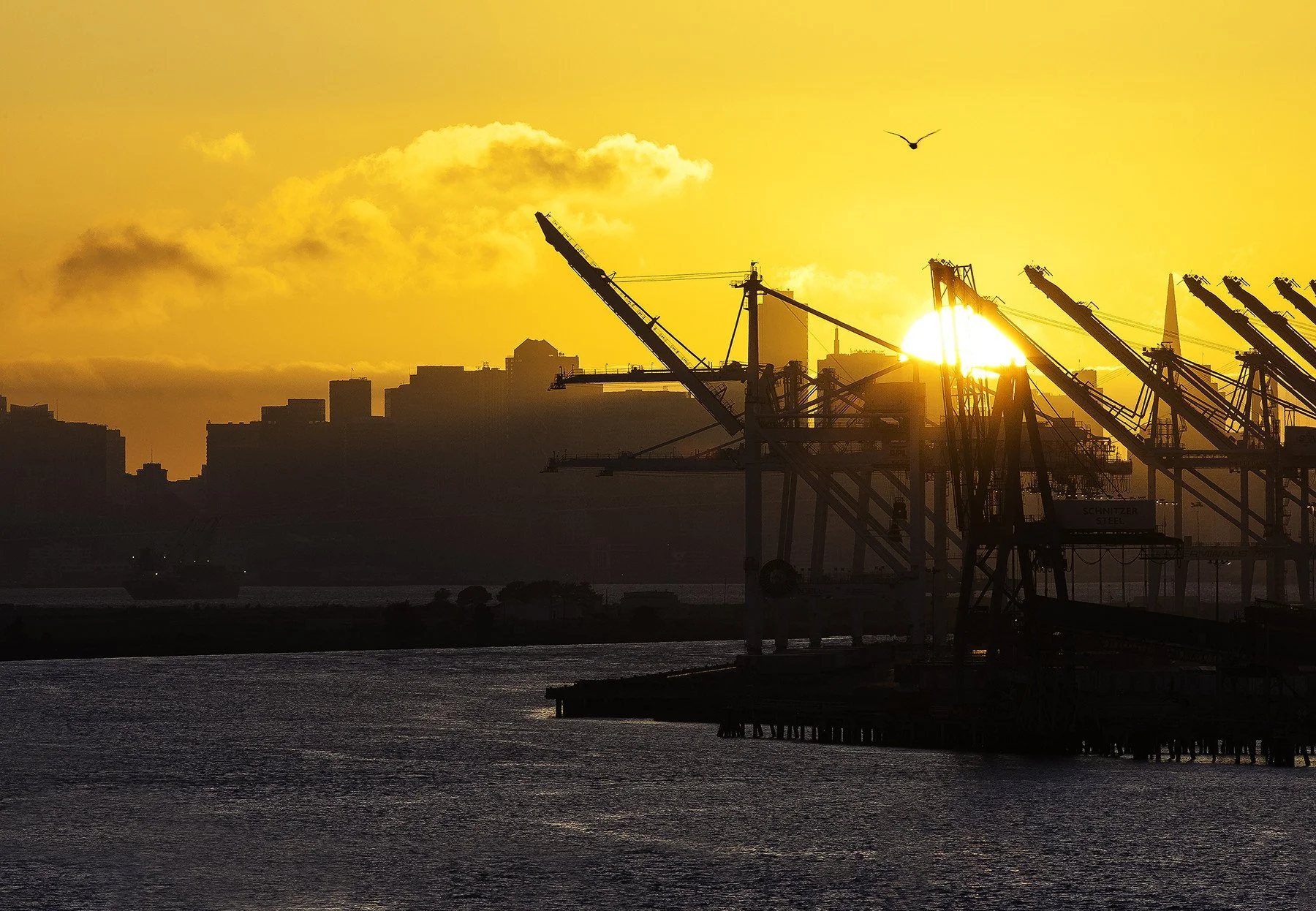 sunset oakland.jpeg