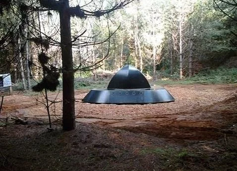 Rendlesham Forest Pt 2 is out! The amount of "backpedaling" the "Forestry Commission" had to do regarding this "steel" "sculpture" is suspect...to say the "least".