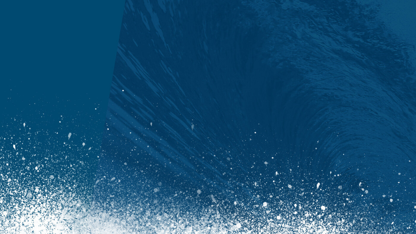 Donor Breakdown blank splash-L.jpg