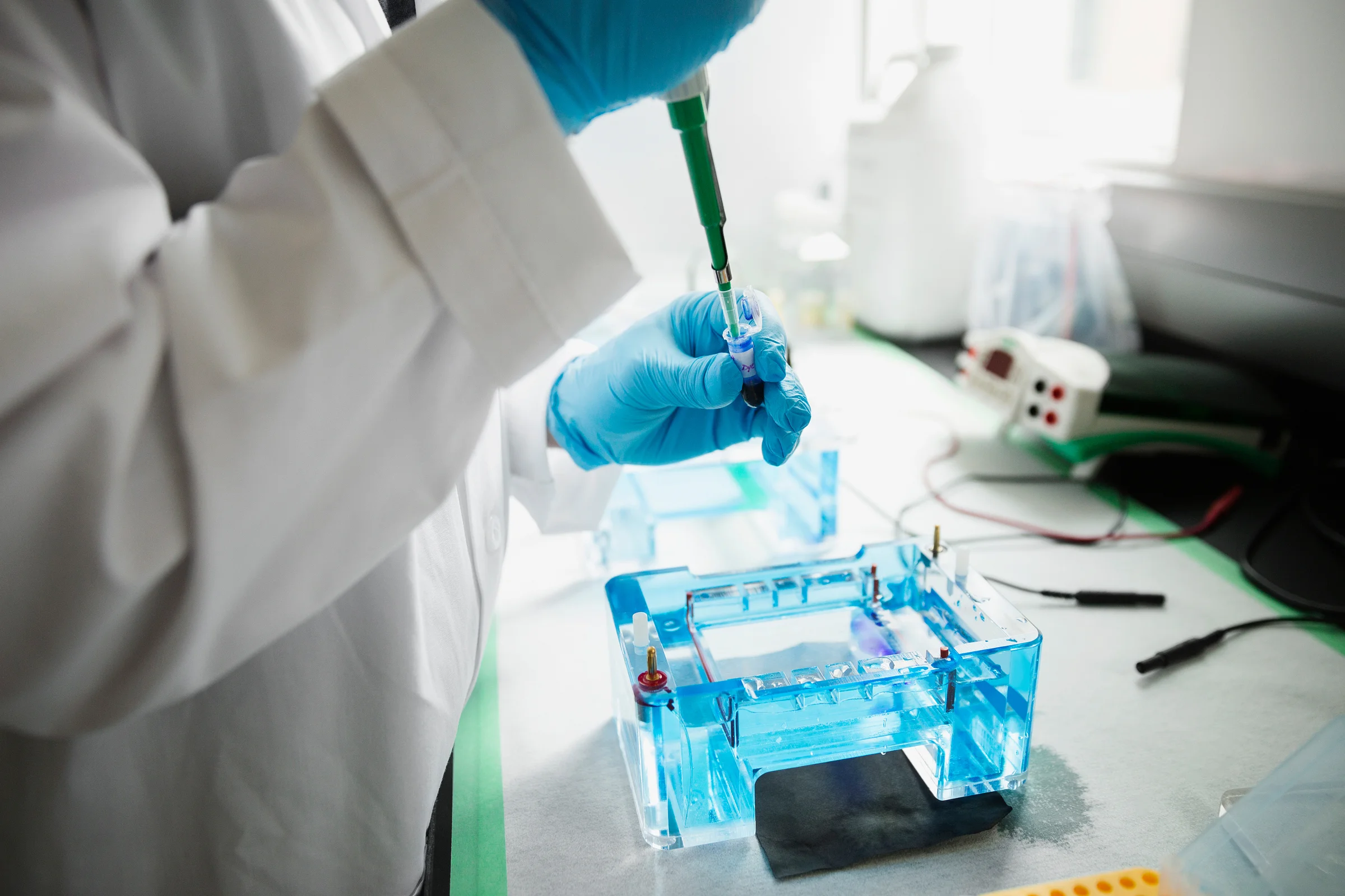 stock-photo-scientist-with-pipette-loading-dna-gels-in-laboratory-118835615.jpg