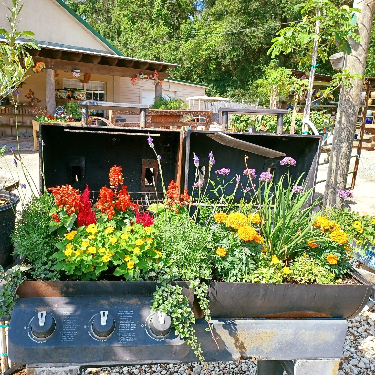 We're grillin' Veggies tonight 😎
These AMAZING pieces were put together by John C. here at the Nursery!
And to our Mother's Day shoppers, we got you covered - gift cards and more available 🌹🌹🌹 
Come swing by and check out some of the cool stuff w