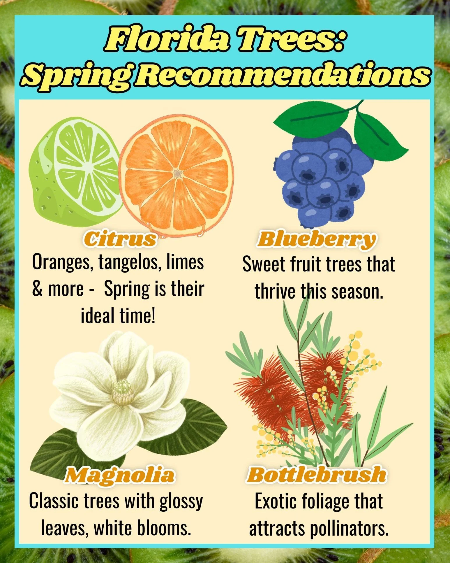 Planting something new this season? 🌳🤔
Here's some simple recommendations for this season that'll last you for years to come!

#springishere
#thegreenhousenursery #gardening #newberryfl #gainesville #gainesvillefl #plantsmakepeoplehappy #March2026 