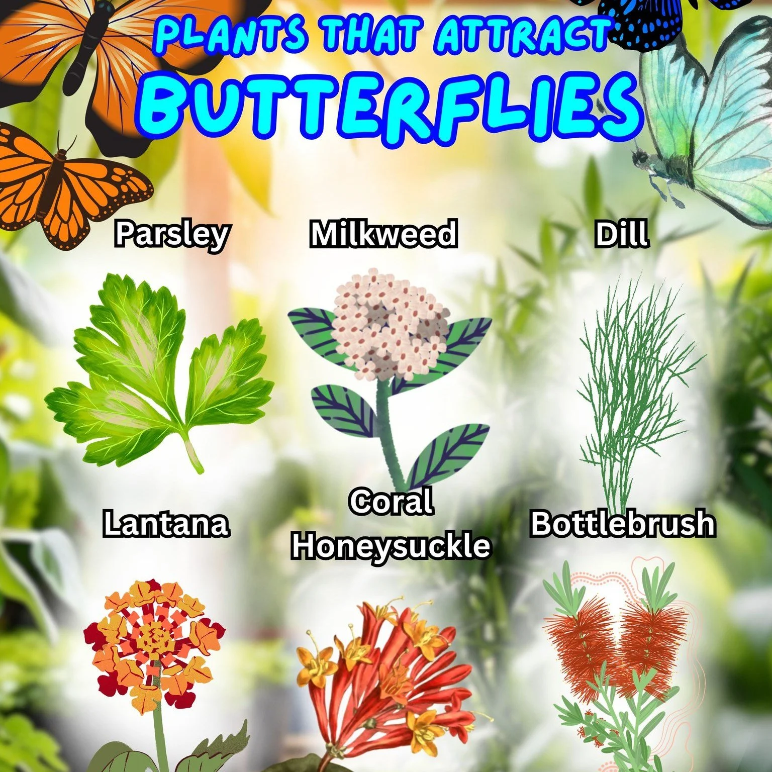 Looking to attract more butterflies? 🌸
Check out these pollinator plants! 🦋

#springishere #thegreenhousenursery #gardening #newberryfl #gainesville  #April2026 #spring #plants #gardeninspiration