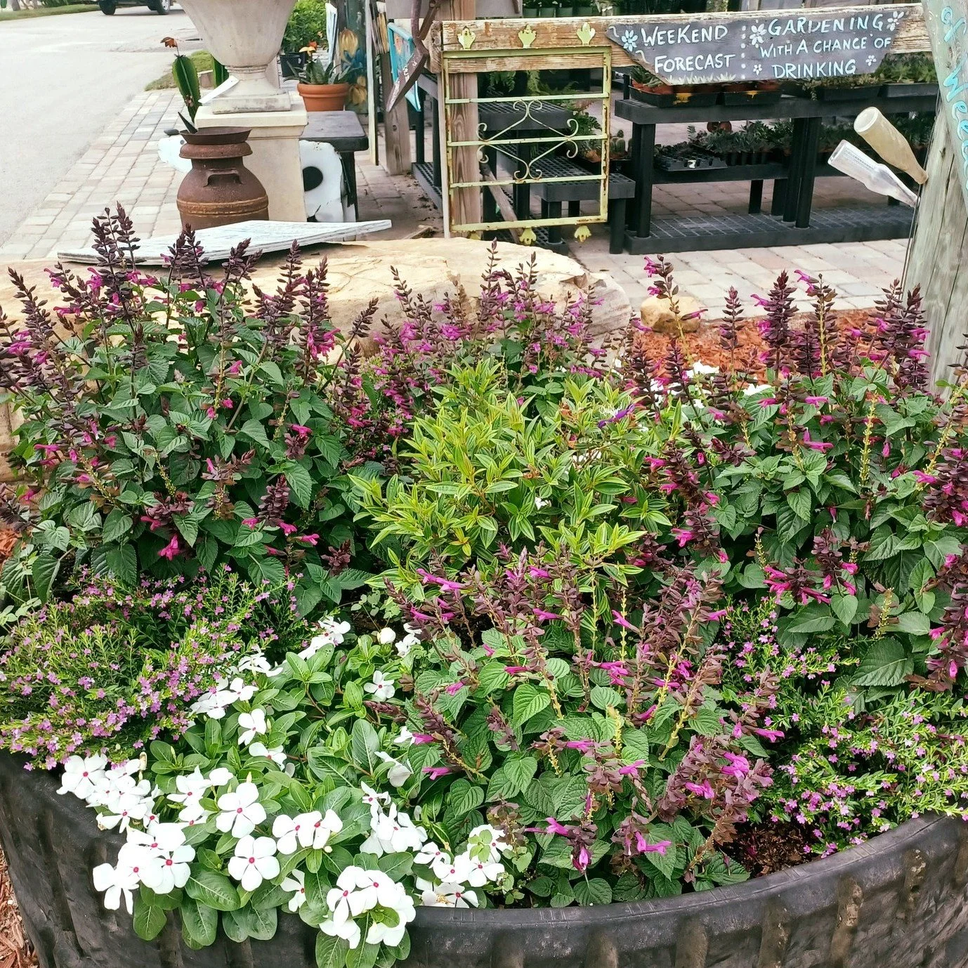 Another planter taking shape and bringing a little more beauty into the world 🌱

We're always grateful for the skill and dedication of our outdoor crew. 
Well done, team! 💪

#springishere #thegreenhousenursery #gardening #newberryfl #gainesville #J