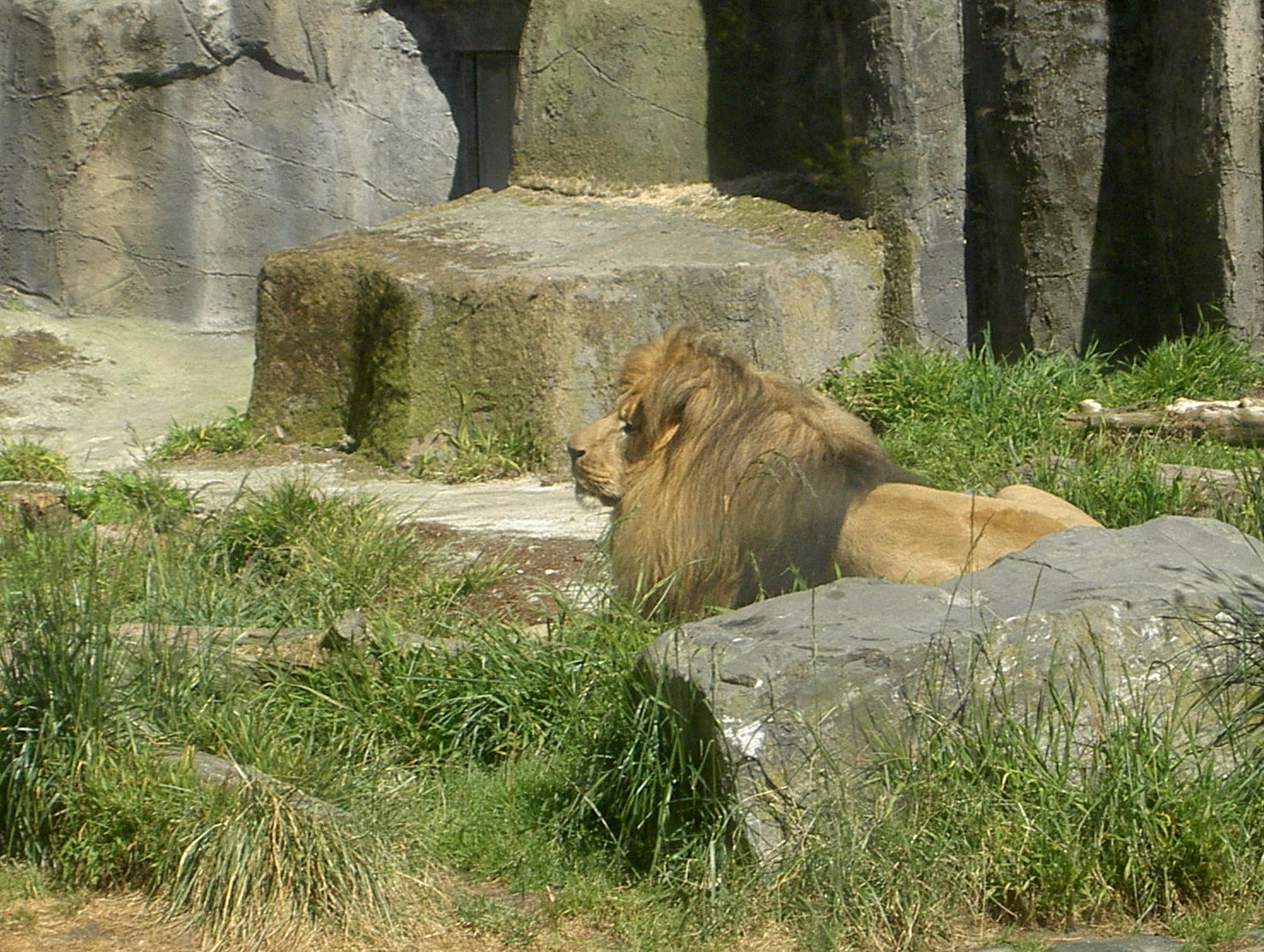 PICT3163-001.jpg