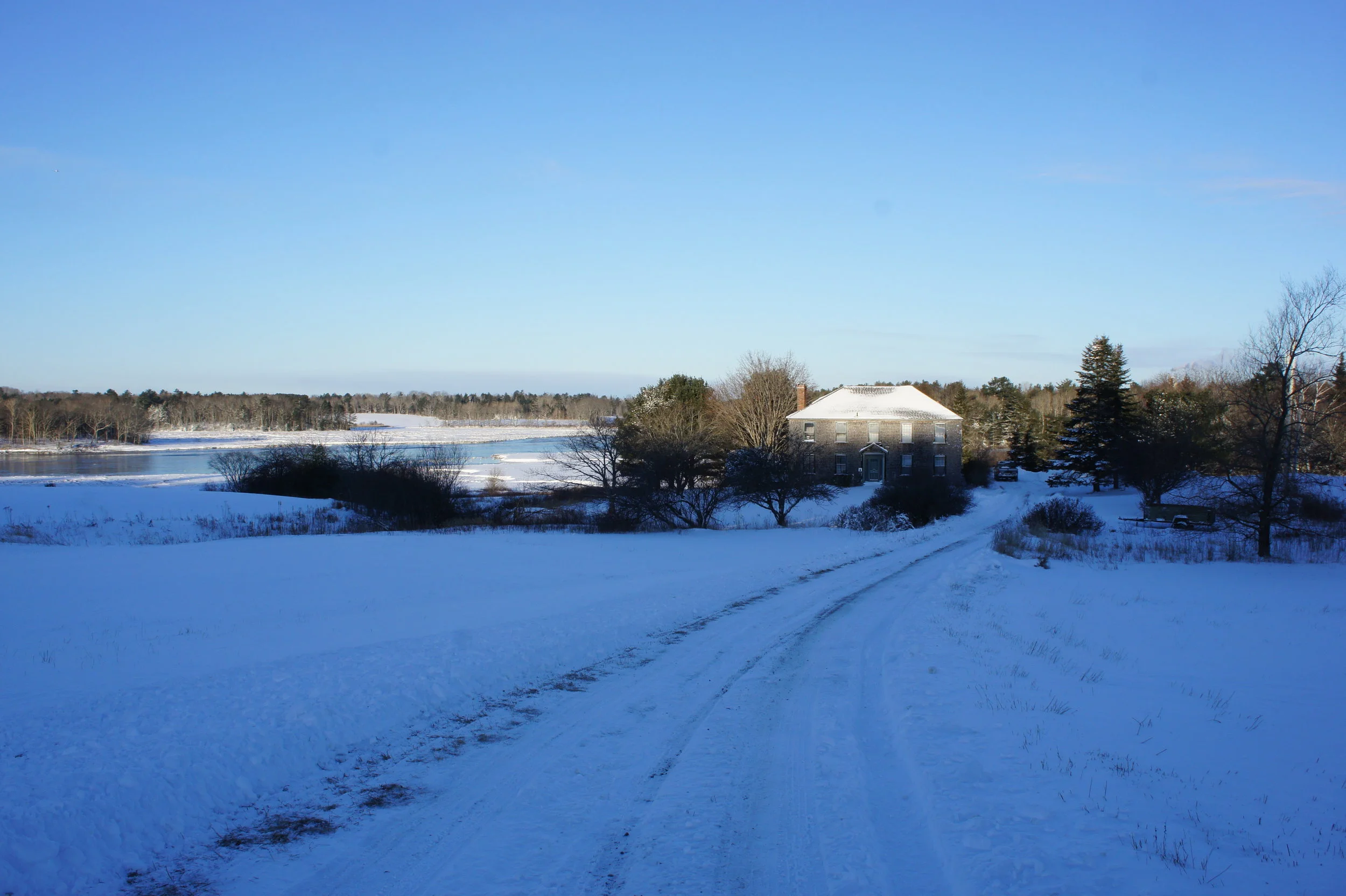 DSC07805.JPG