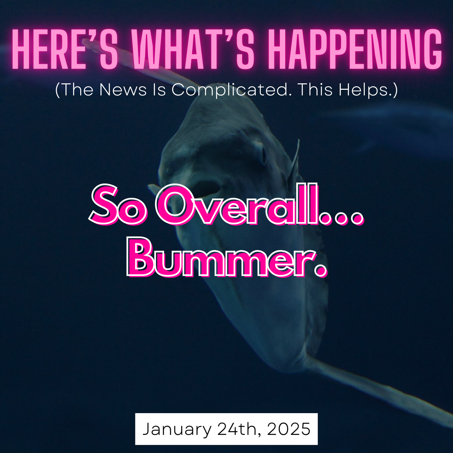 So Overall… Bummer. episode artwork