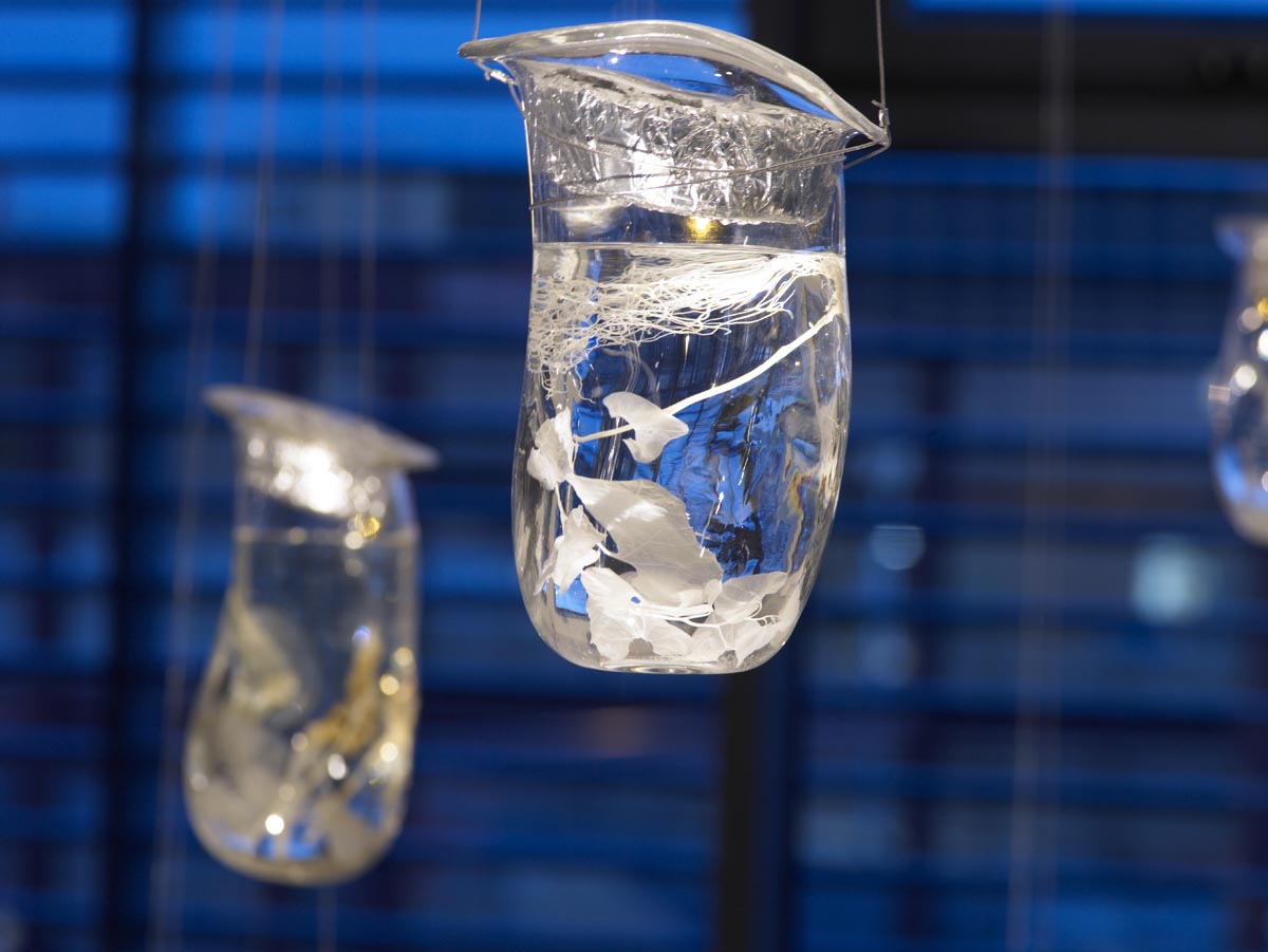 Glass Vessels - Christine Borland