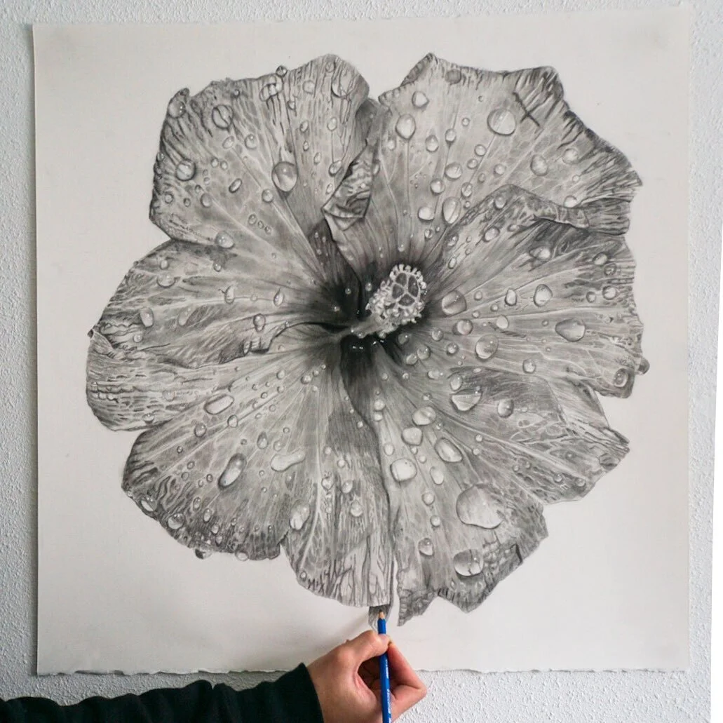 Wet Ass Hibiscus 🌺 
Graphite and charcoal on 22x22&rdquo; paper
Made with lots of love and @iamcardib and @theestallion 

#hyperrealism #artistsofinstagram #floralart #seattleartist