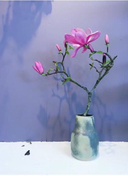 FullSizeRender-4.jpg