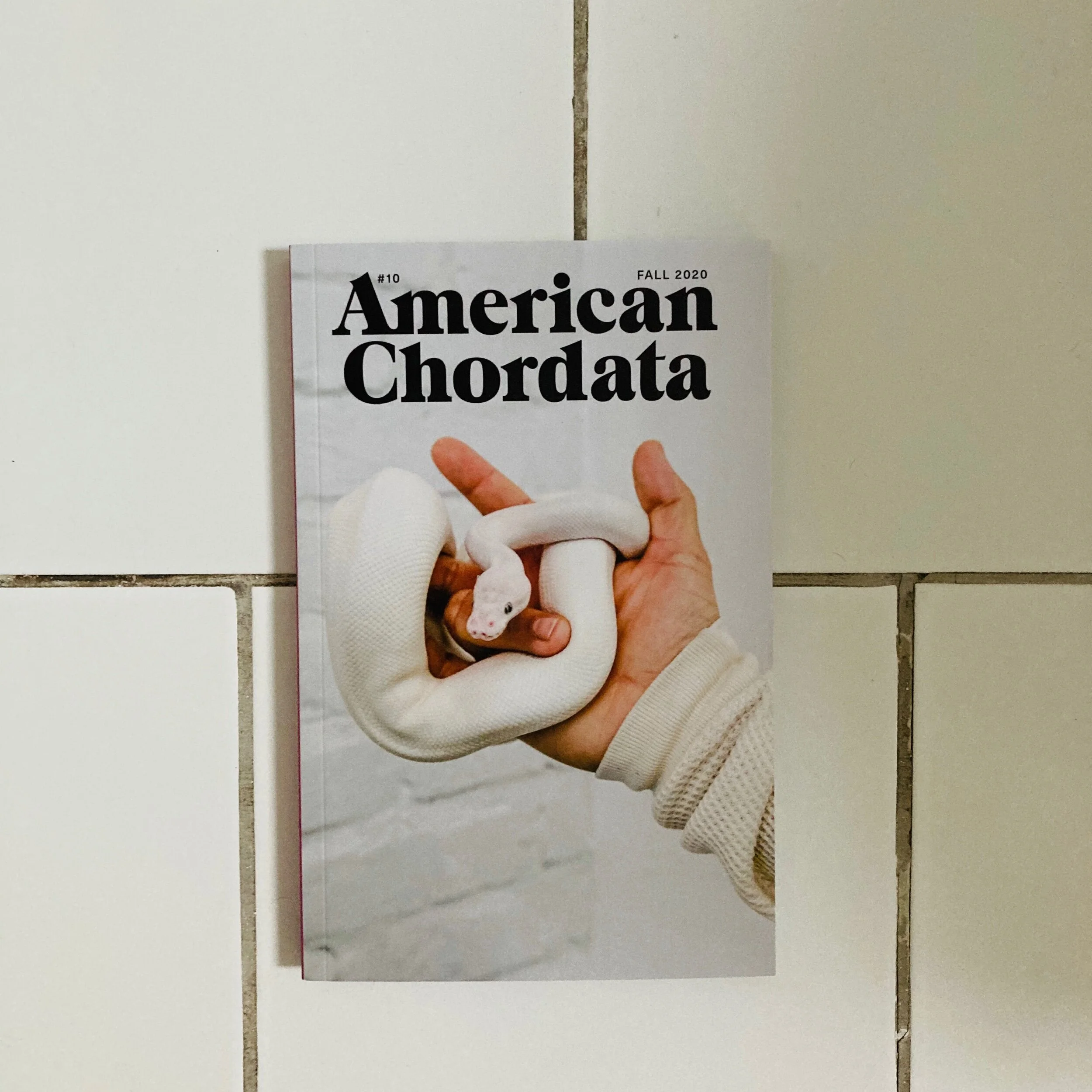 American Chordata