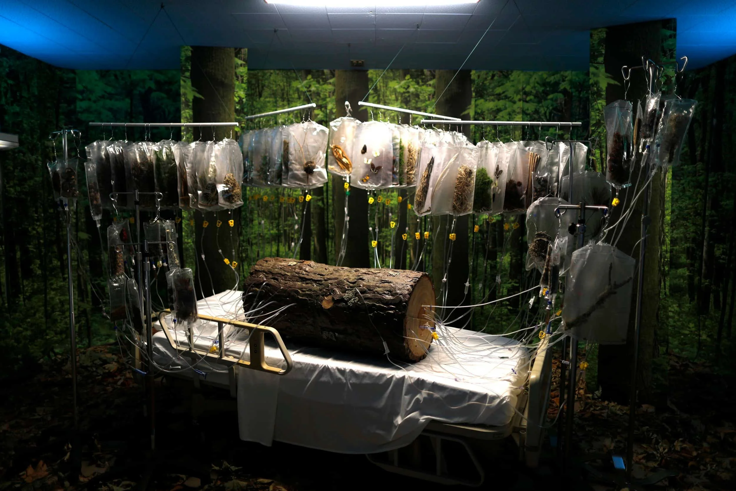 "Hospital Of Emotions" invites visitors to Los Angeles Art enthusiasts as a bold Experiential Design and Immersive Art destination—one of the must-see Things To Do In LA