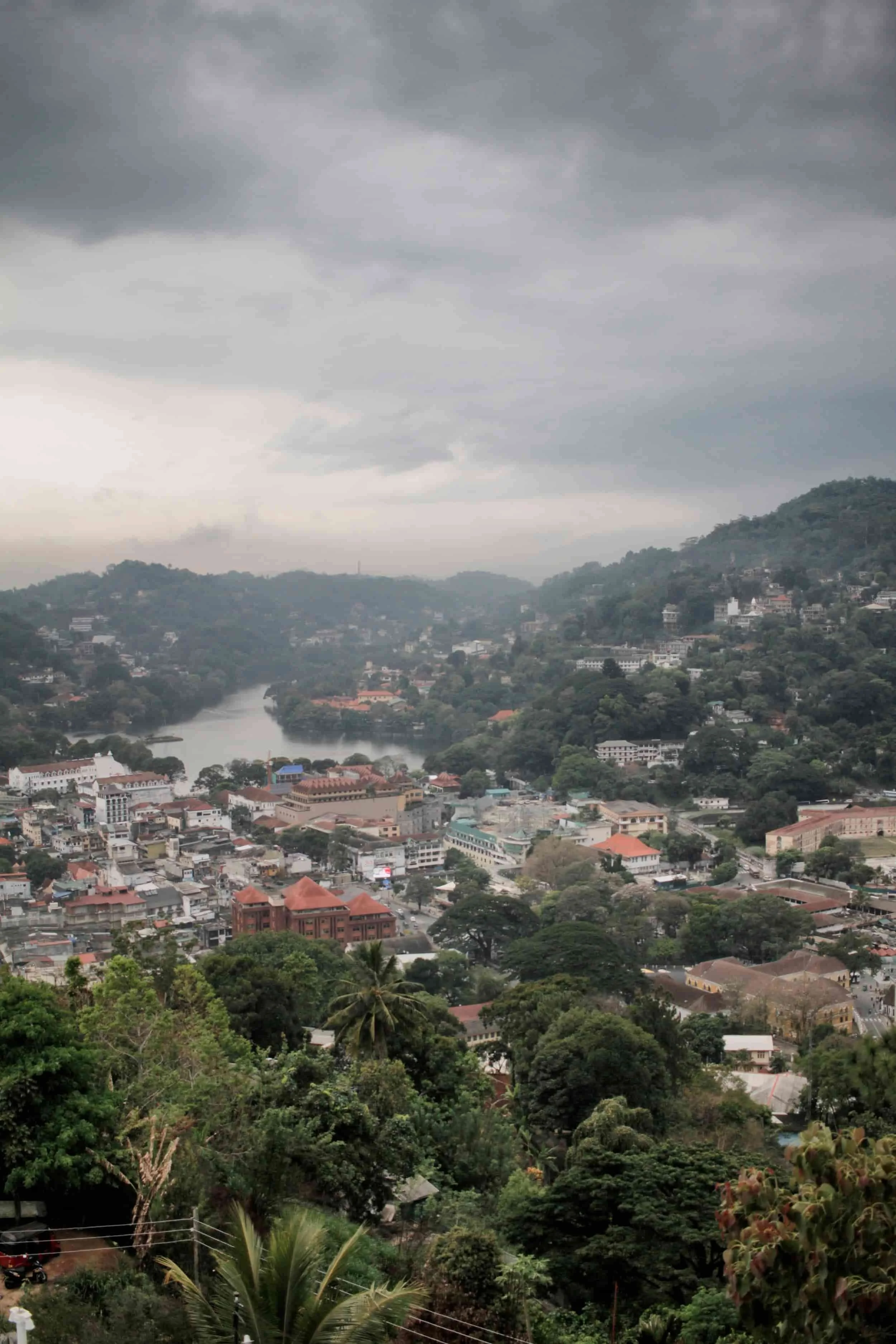 Overcast cityscape with a river running through a hilly area, surrounded by buildings and green trees.