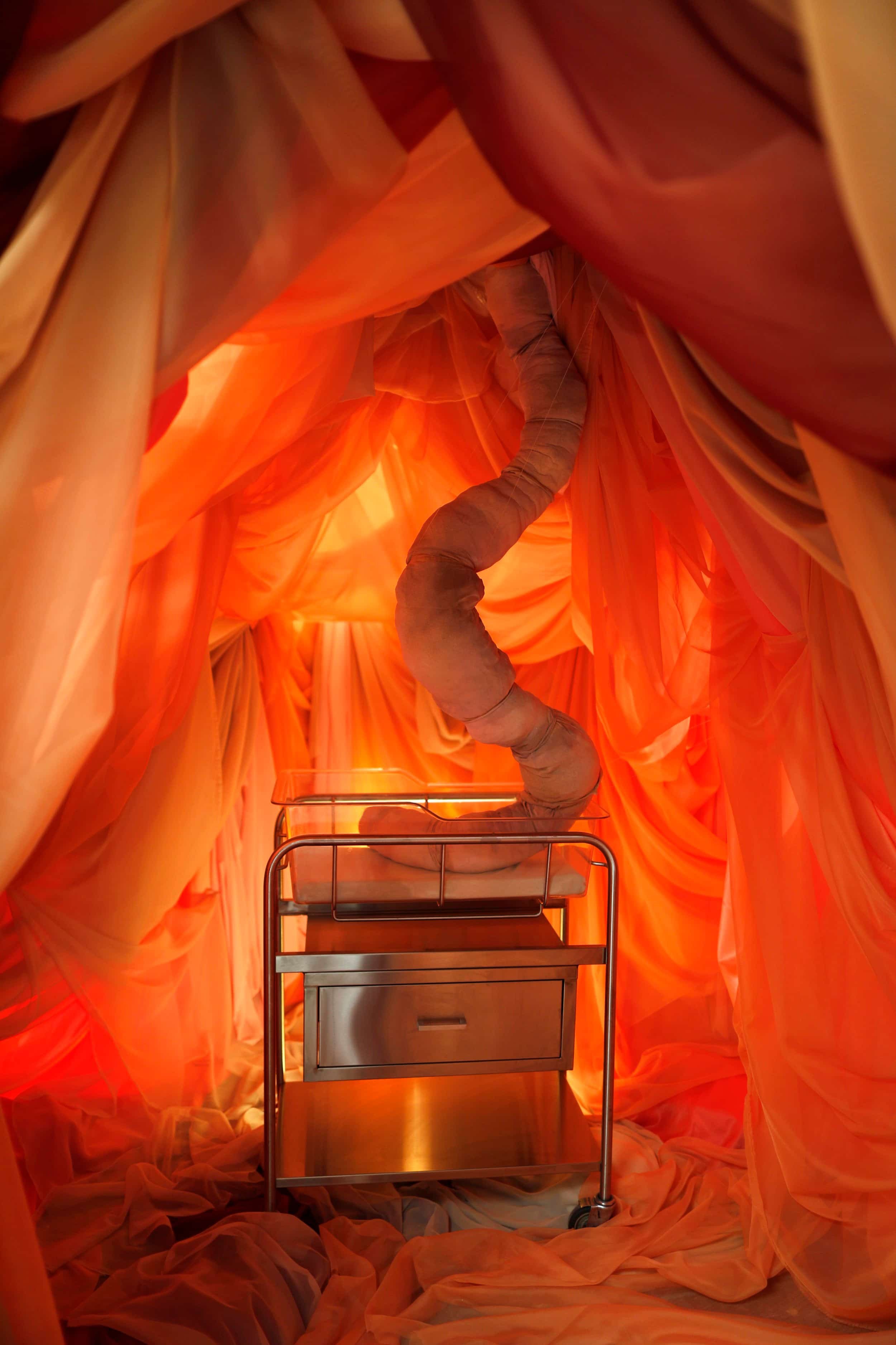 "Hospital Of Emotions" invites visitors to Los Angeles Art enthusiasts as a bold Experiential Design and Immersive Art destination—one of the must-see Things To Do In LA