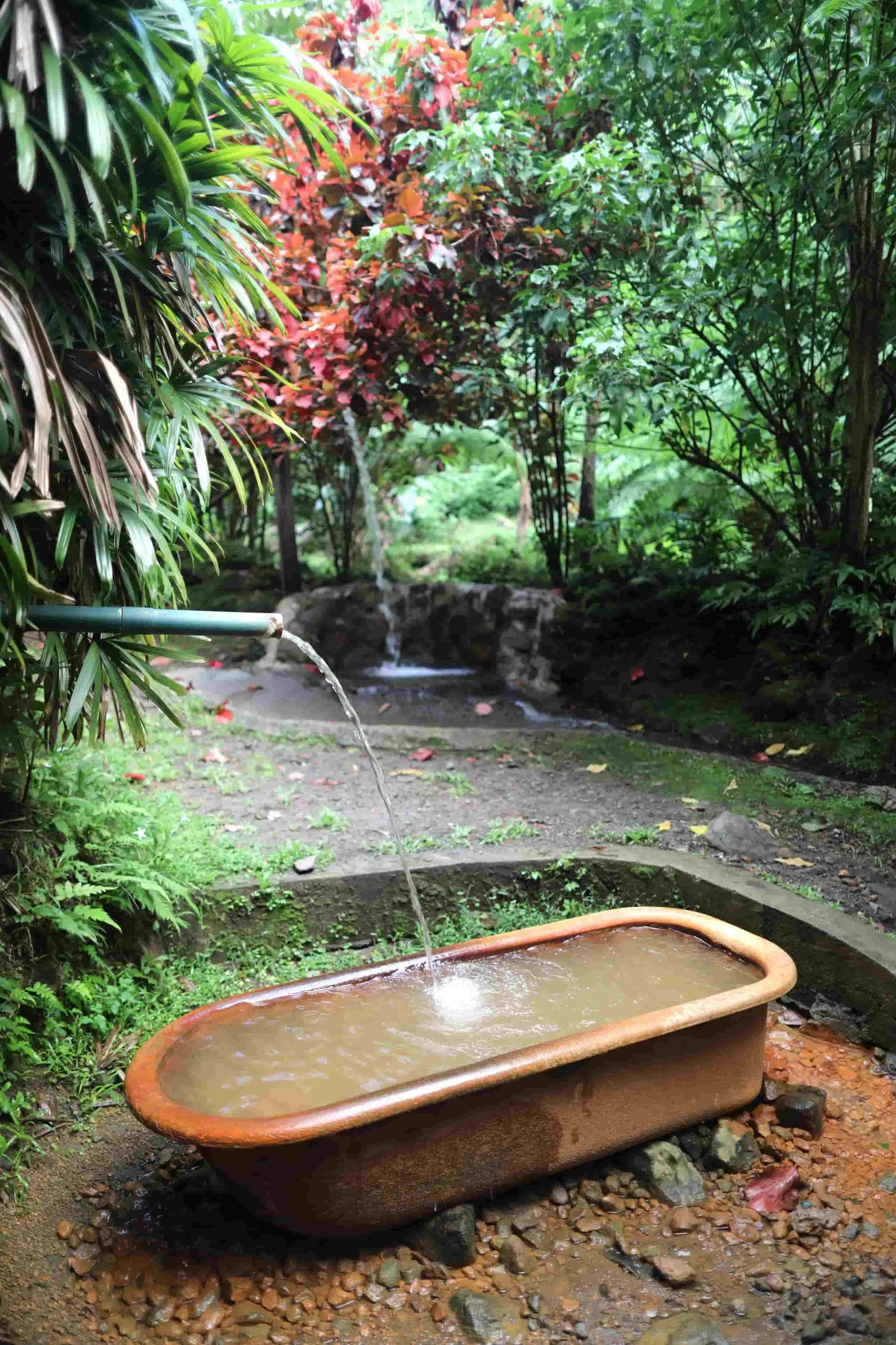Bathtub in the forest of Dominica