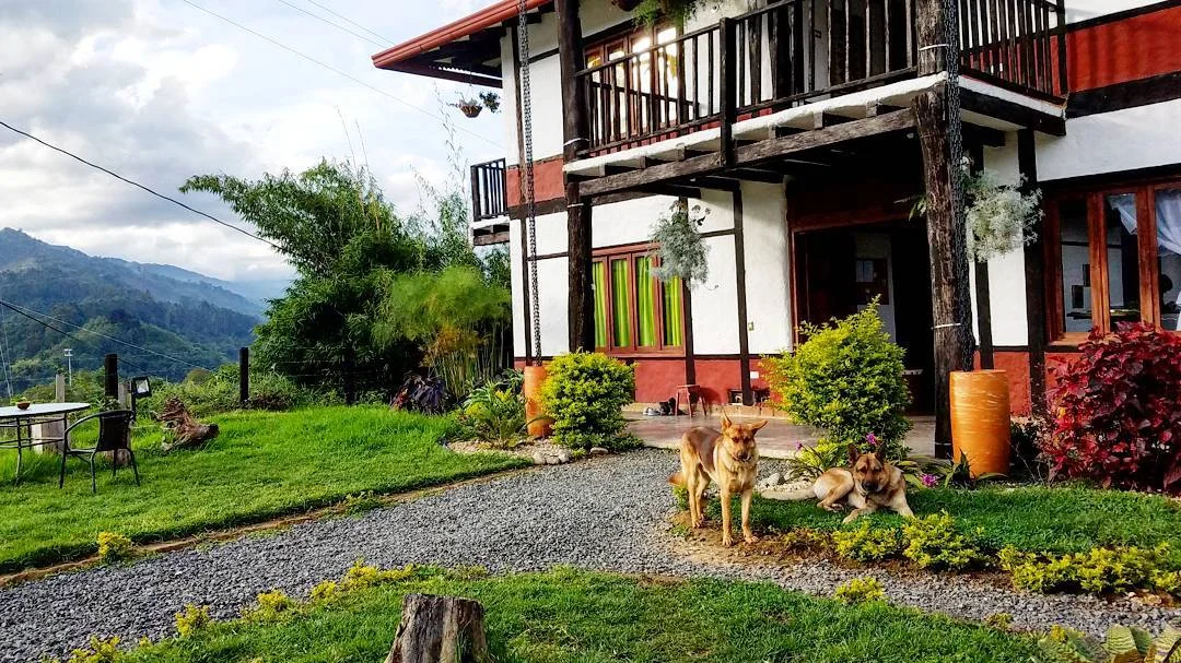 Coffee Tree Boutique Hostel